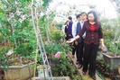 Huyện Mê Linh sẽ “thăng hạng” huyện nông thôn mới năm 2020