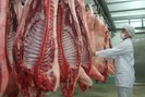 Đề xuất cấp đông thịt lợn đảm bảo nguồn thịt cho dân ăn dần