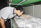 Triệu phú nấm rơm 4.0 ở Bắc Ninh