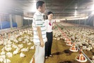 Nhà nông xứ Quảng thành “tỷ phú” nhờ Agribank