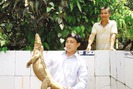 Quỹ HTND giúp nhà nông xứ Quảng làm giàu
