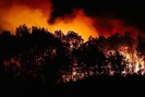 Rừng Hà Tĩnh lại cháy lớn, hàng trăm người lên núi Nầm suốt đêm dập lửa