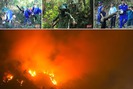 Toàn cảnh vụ cháy rừng chưa từng có ở Hà Tĩnh