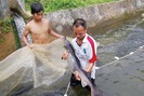 Mô hình nuôi cá tầm trong lồng bè cho thu nhập cao ở Lào Cai
