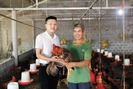 Vốn Agribank giúp nông dân “đất lửa” làm giàu