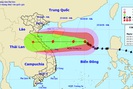 Bão số 8 đang mạnh cấp 12, giật cấp 15 nhưng khả năng suy yếu khi vào các tỉnh miền Trung