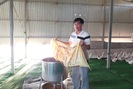 Hà Nội: Trại nuôi vịt - cá 10ha của anh nông dân Thanh Oai, mỗi năm lãi 700 triệu đồng