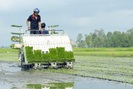 Đưa máy hiện đại xuống đồng, nông dân Kiên Giang "khỏe re"