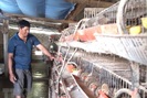 Nông dân Quảng Bình tích cực sản xuất nông nghiệp sau bão lũ