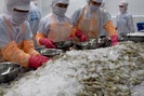 Lo sợ dịch Covid, Trung Quốc tăng cường kiểm soát hàng thủy sản đông lạnh nhập khẩu