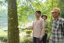 Chuyển hóa rừng gỗ lớn, nông dân Nghệ An thu lợi gấp 360 triệu đồng/ha