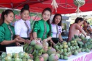 Yên Châu đẩy mạnh quảng bá giới thiệu sản phẩm nông sản 