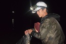 Săn cá bống ở hồ Phú Ninh