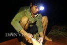 Clip: Xuyên đêm săn cá ngon cùng “quái kiệt” lòng hồ sông Đà