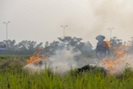 Nông dân lại đốt rơm rạ, khói 'bủa vây' đường cao tốc Hà Nội - Ninh Bình