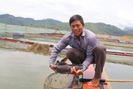 "Làm nương" trên mặt hồ Sông Đà 