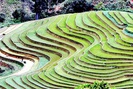 Ruộng bậc thang - bức tranh nghệ thuật đẹp đến nao lòng nơi vùng núi Sơn La