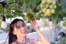 Hot girl Sài thành chia sẻ kinh nghiệm trồng nho trên sân thượng thu hoạch mỏi tay