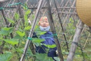 Chuyện lạ ở Hà Tĩnh: Lắp “mắt thần” giám sát quy trình sản xuất rau