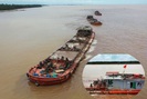 Video: Tàu hút cát ở Nam Định đua nhau tàn phá bãi biển và rừng phòng hộ?