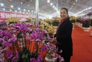 Hà Nội: Lan hồ điệp Đà Lạt "đổ bộ", dân Thủ đô sẵn sàng chi tiền triệu mua về trưng Tết Tân Sửu