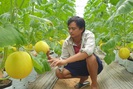 Vừa làm nông nghiệp công nghệ cao, vừa bảo vệ môi trường: Cách làm hay ở xứ Thanh