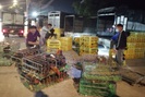 Bắc Giang: Cận Tết, chợ thu mua gà lớn nhất huyện Tân Yên ảm đạm, tiêu thụ giảm 30% so với năm trước