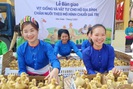 Tập đoàn Mavin phối hợp World Vision triển khai mô hình nuôi vịt siêu nạc theo chuỗi giá trị tại Thanh Hóa