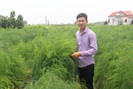 Bắc Ninh: Trồng "rau vua", mít Thái, thả trai nhả ngọc dưới ao, chàng nông dân trẻ giàu nhanh