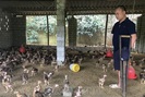 Hải Dương: Anh nông dân khuyết tật cả chân và tay trồng keo, nuôi gà lãi cả trăm triệu mỗi năm
