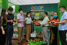 Nông thôn Tây Bắc: Phát triển thương hiệu khoai sọ Thuận Châu
