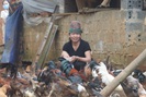 Nông thôn Tây Bắc: Trồng rau kết hợp nuôi gà an toàn sinh học