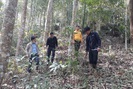 Chi trả dịch vụ môi trường rừng ở Lai Châu: Tạo đà xây dựng nông thôn mới 