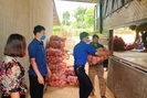 Sơn La: Ủng hộ 21 tấn rau, củ, quả cho người dân Bắc Ninh và Bắc Giang
