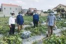 Thực hiện nhiệm vụ kép: Vừa chống dịch vừa duy trì hoạt động sản xuất kinh doanh tại Bắc Ninh