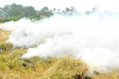 Chủ tịch Thừa Thiên- Huế yêu cầu lập đường dây nóng để xử lý tình trạng đốt rơm rạ sau thu hoạch 