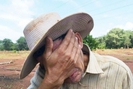 Lỗ trắng, nông dân trồng khoai lang tím Nhật chỉ biết rơi nước mắt