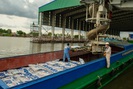 Phân bón Cà Mau chủ động giảm xuất khẩu để tập trung nguồn hàng phục vụ thị trường trong nước