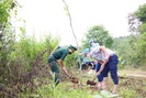 Điện Biên: Trồng 1.200 cây hoa ban ven đường đi mốc giao điểm biên giới ba nước Việt - Lào - Trung