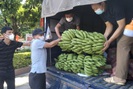 Thuận Châu: Ủng hộ trên 30 tấn lương thực, thực phẩm cho đồng bào vùng dịch