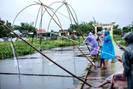 Quảng Nam: Cao thủ không bằng tranh thủ, sau mưa lớn, người dân giăng lưới bắt cá mưu sinh