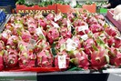 Loại hoa quả này của Việt Nam được đánh giá “5 sao” tại Australia