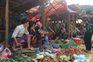 Nông thôn Tây Bắc: Phụ nữ Phìn Hồ giảm nghèo bền vững