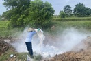 Thái Bình: Công bố hết dịch bệnh cúm gia cầm A/H5N8