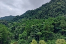 Xã vùng cao Sơn La giữ rừng
