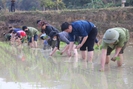 Hội Nông dân Sơn La cùng nông dân phát triển kinh tế, làm giàu