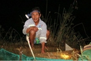 Ảnh: Nông dân đội mưa săn ‘rồng đất’, kiếm tiền triệu mỗi đêm
