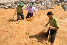 Hạt Kiểm lâm huyện Mường Tè: “Leo đồi, vượt suối” để giữ  rừng