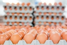 Gặp khó với thép, "vua thép" quay sang bán hơn 1 triệu quả trứng mỗi ngày