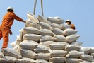 Ấn Độ chính thức dỡ bỏ lệnh cấm xuất khẩu đối với gạo Việt Nam